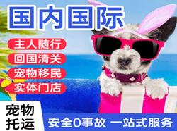 硕放机场物流国际宠物托运 【国